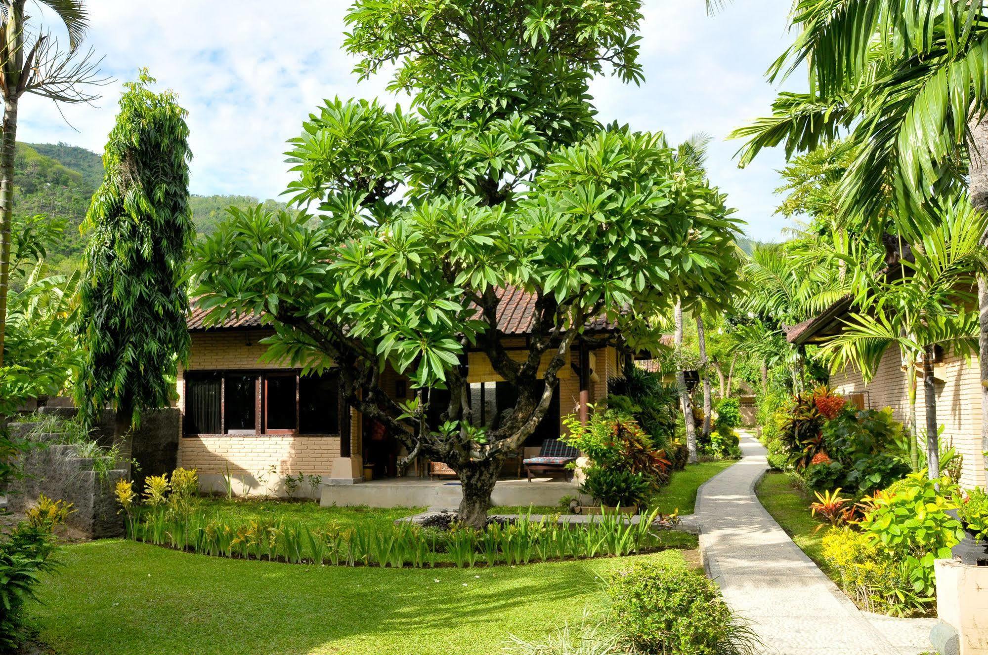 Hidden Paradise Cottages Amed Kültér fotó